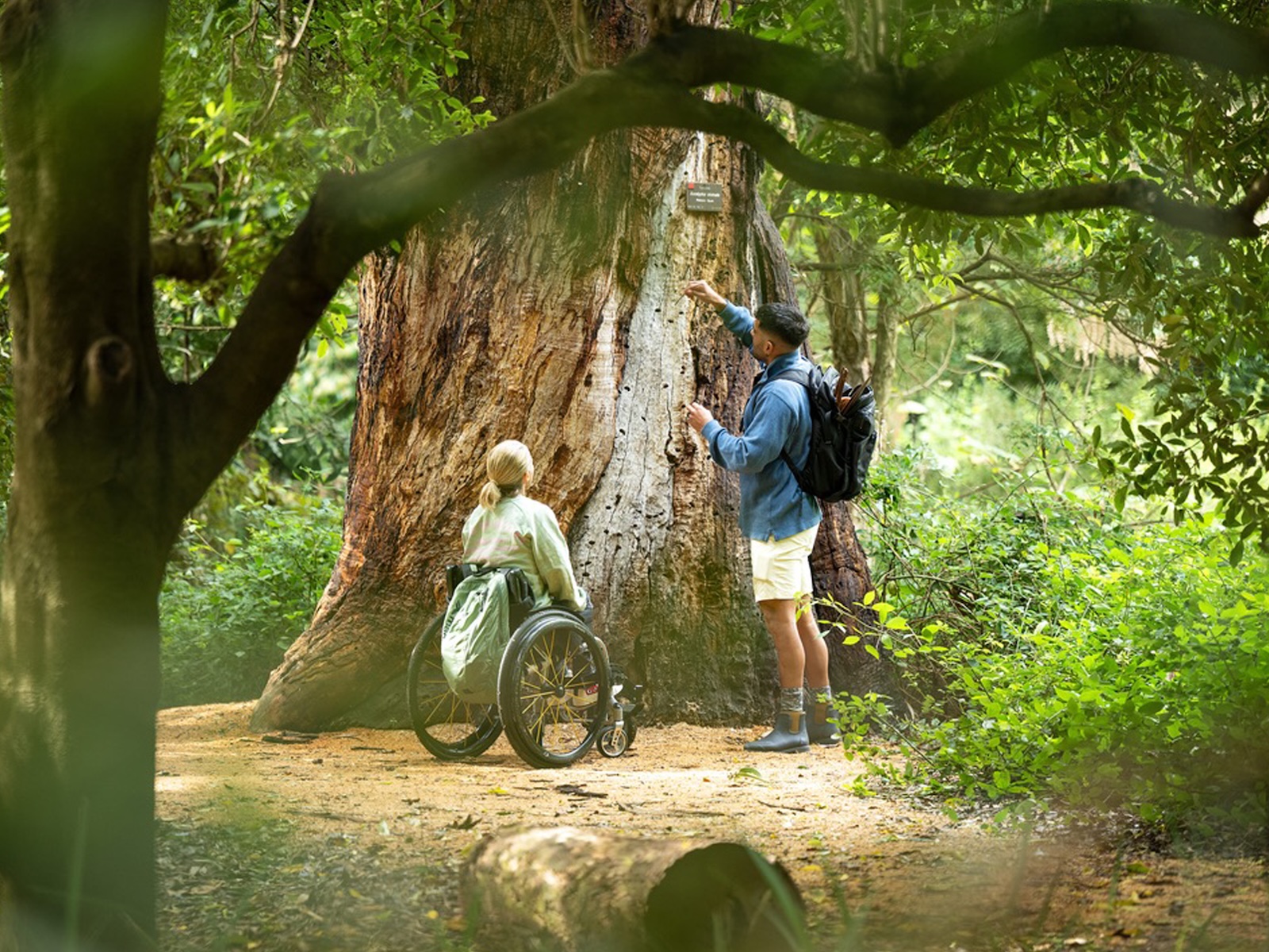 Accessible Parks: Camping Without Barriers