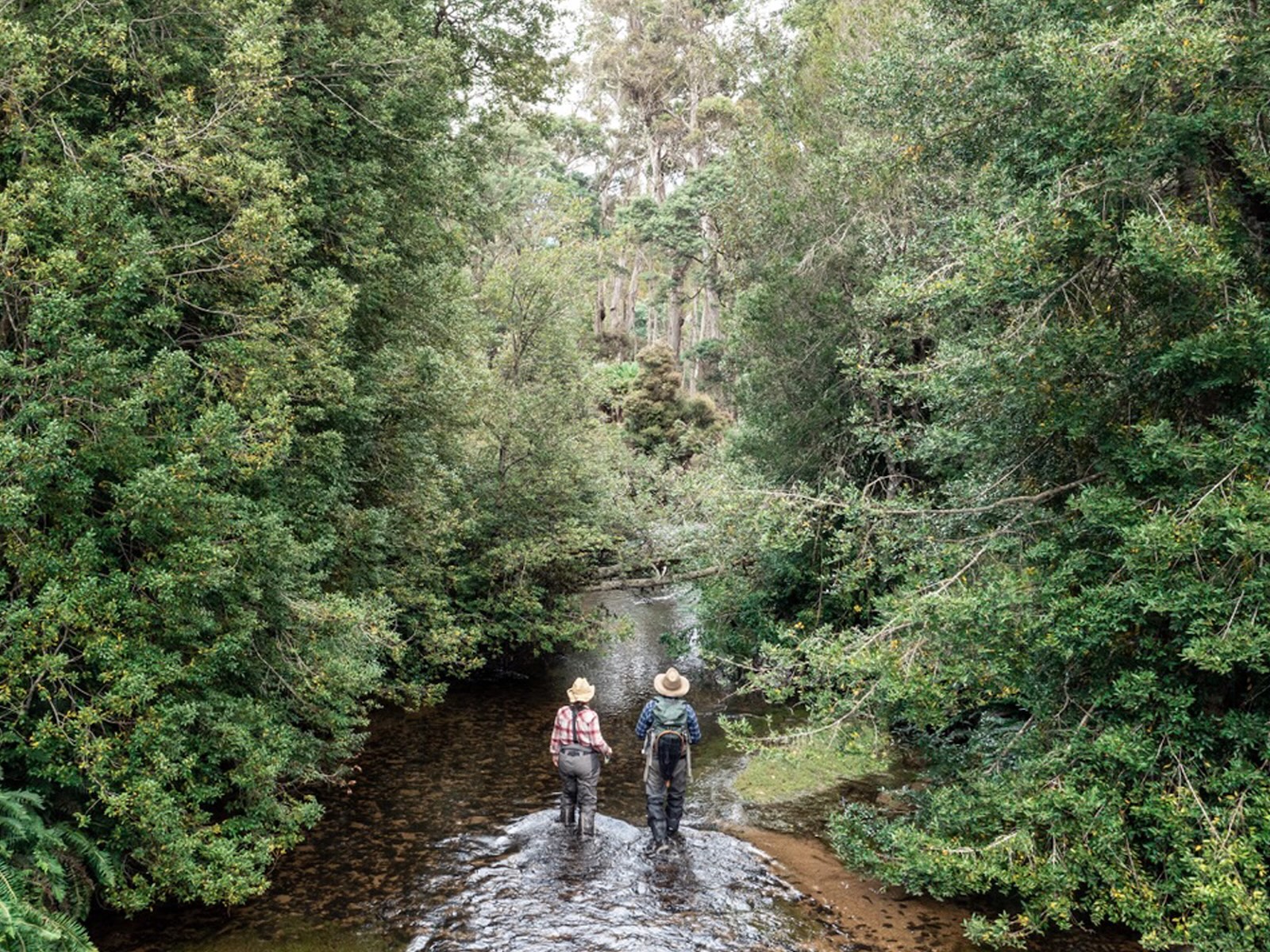 Best Fishing Spots: Parks for Keen Anglers