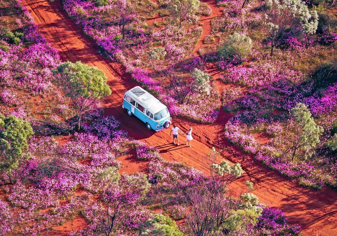 Outback
