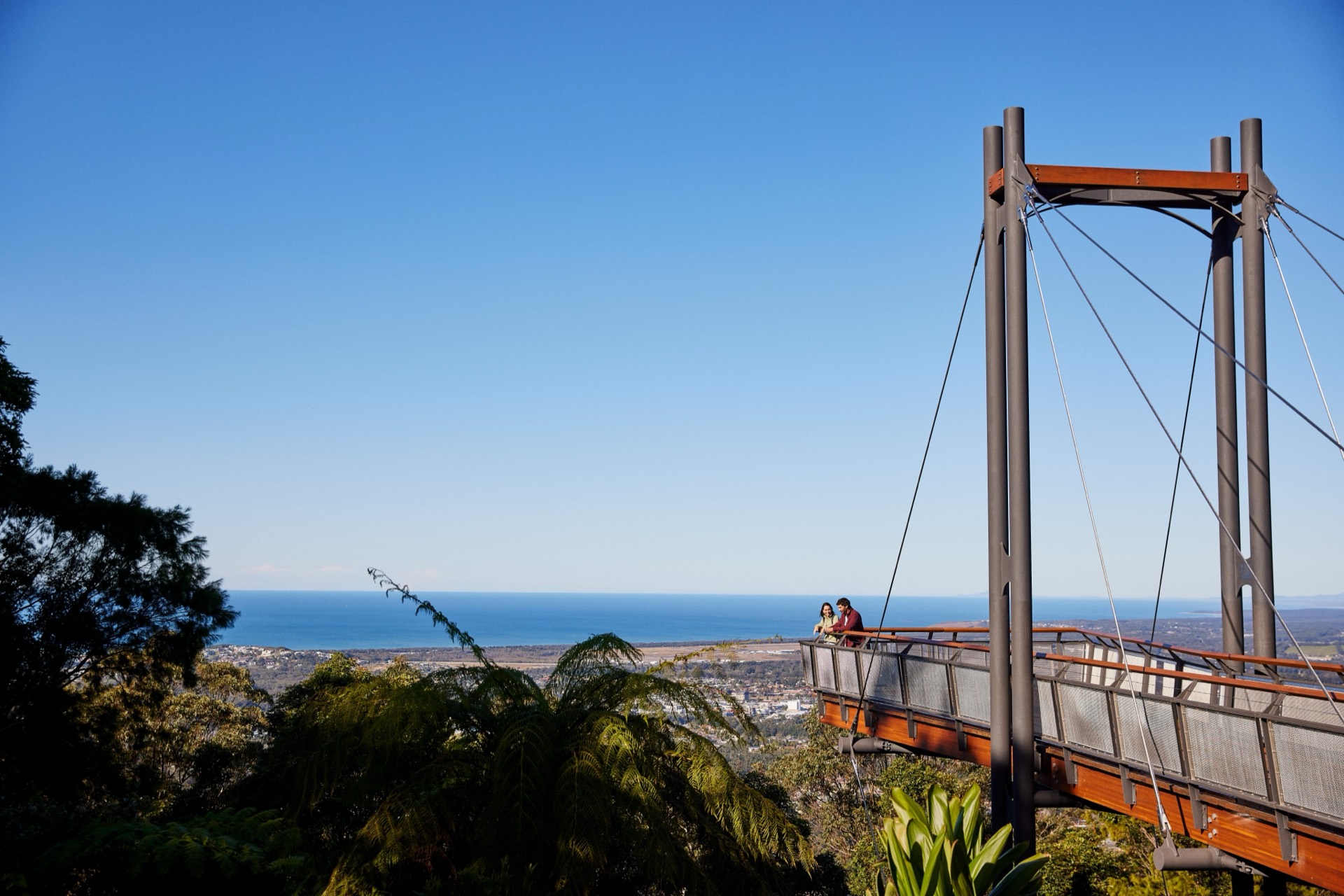Forest Sky Pier cantilever lookout above the Coffs Coast canopy