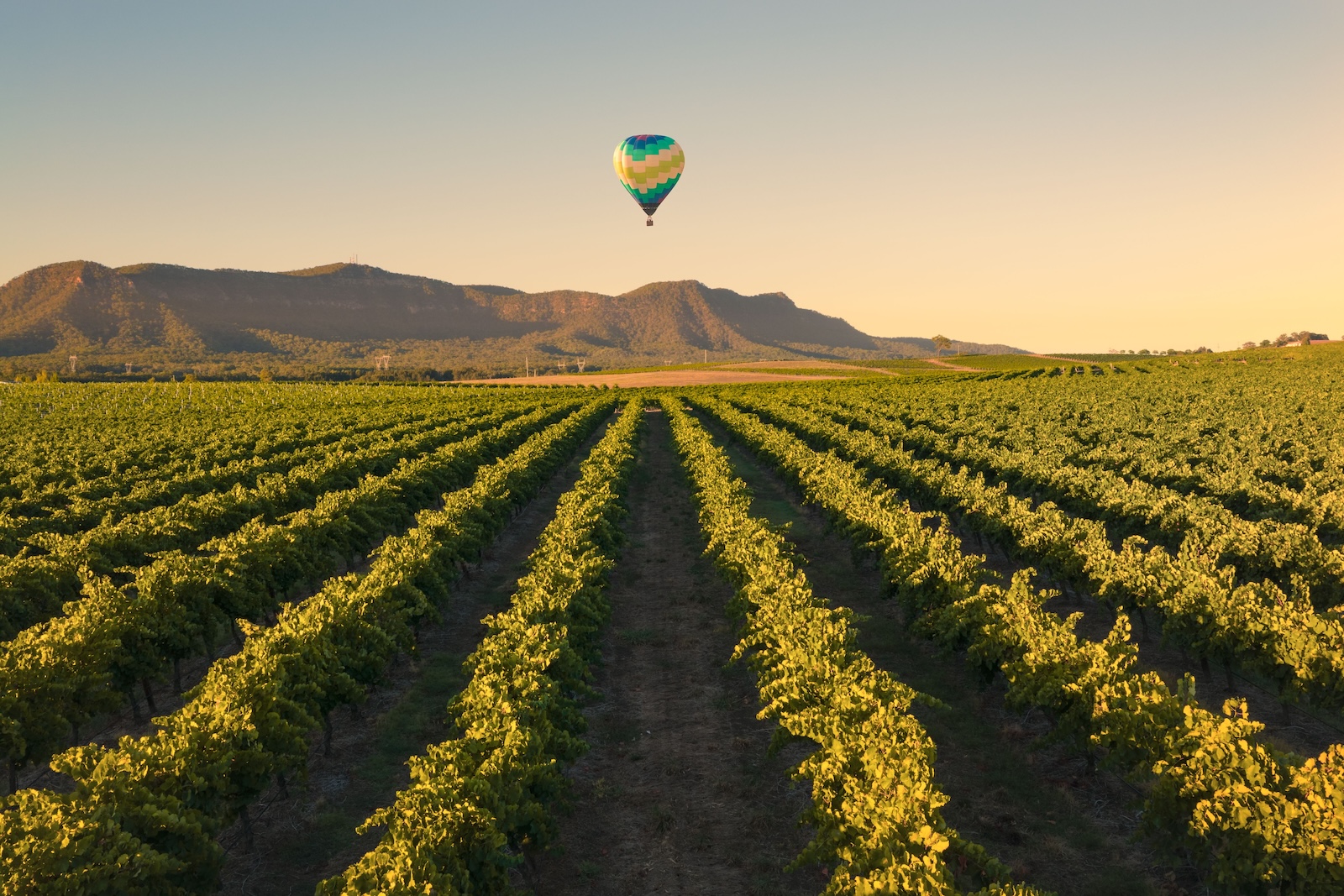 Hunter Valley holiday parks in New South Wales
