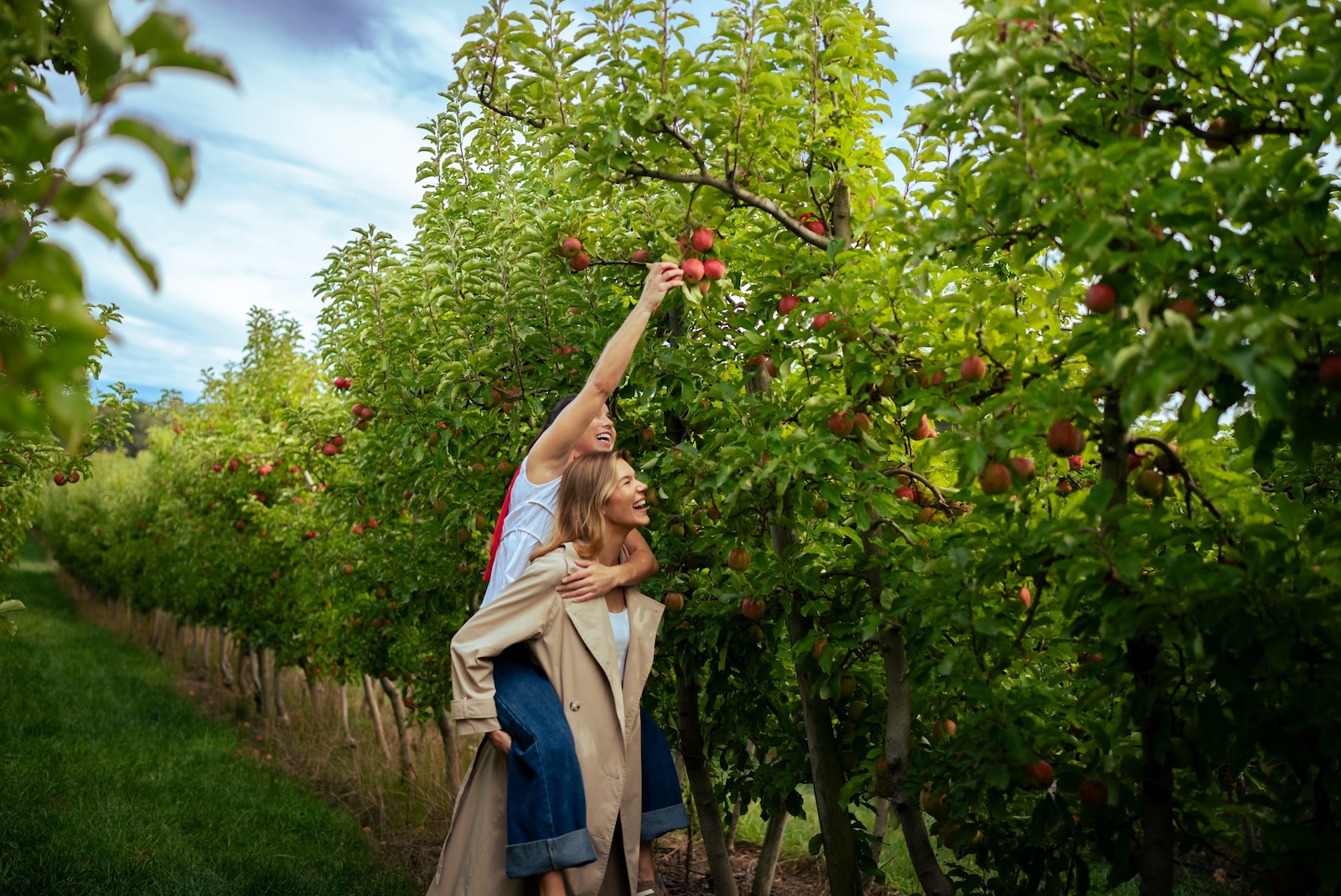 Adelaide Hills holiday parks in South Australia