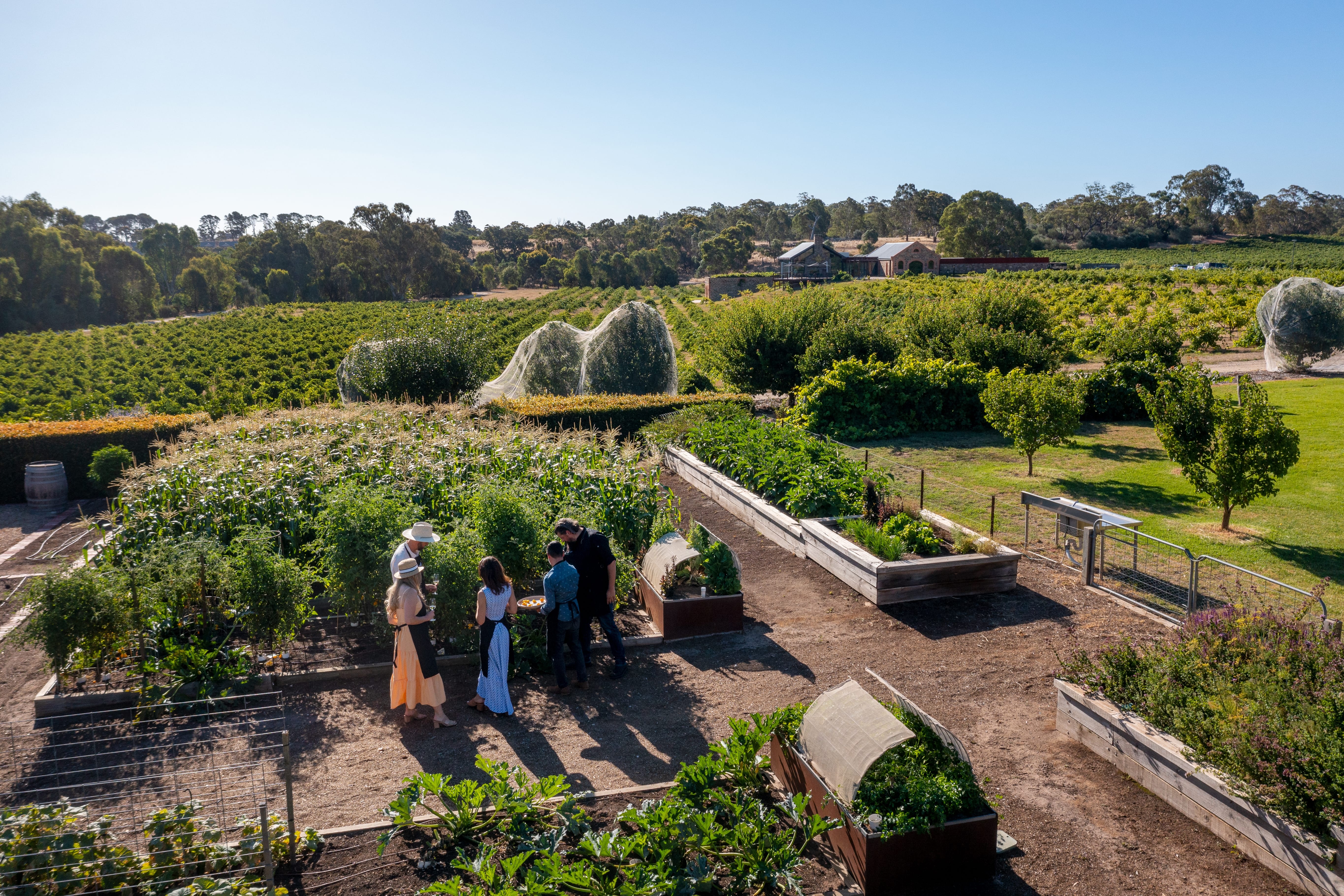 Barossa Valley holiday parks in South Australia