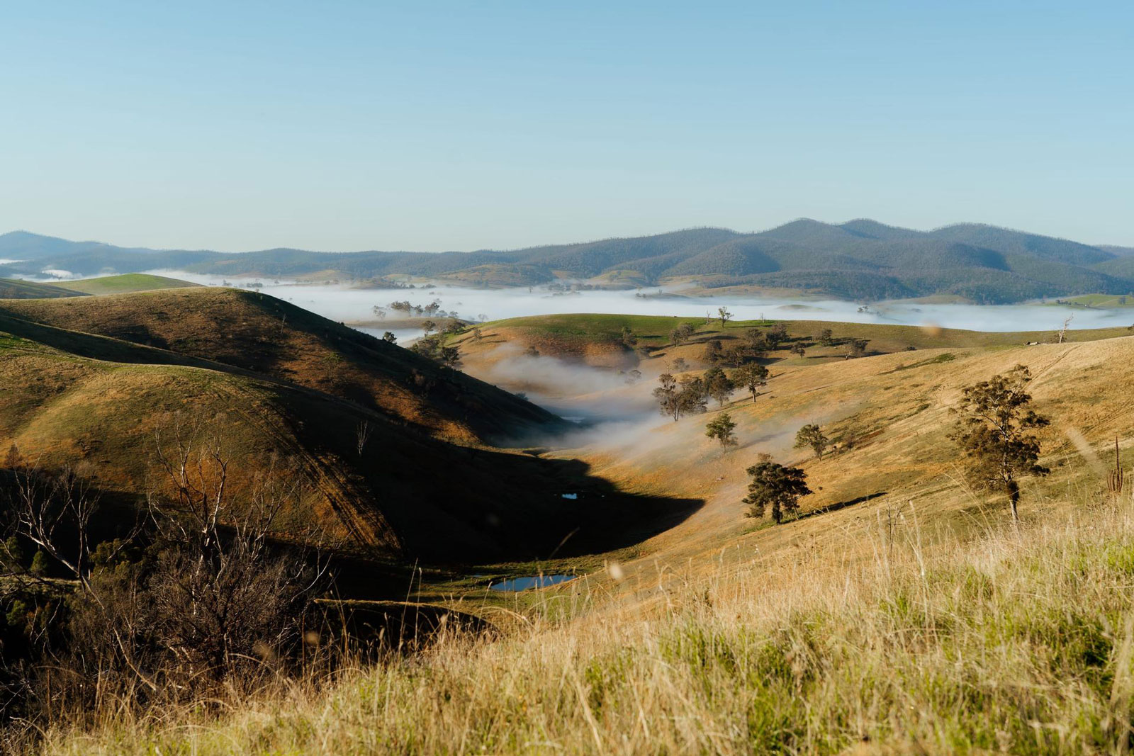 Gippsland holiday parks in Victoria