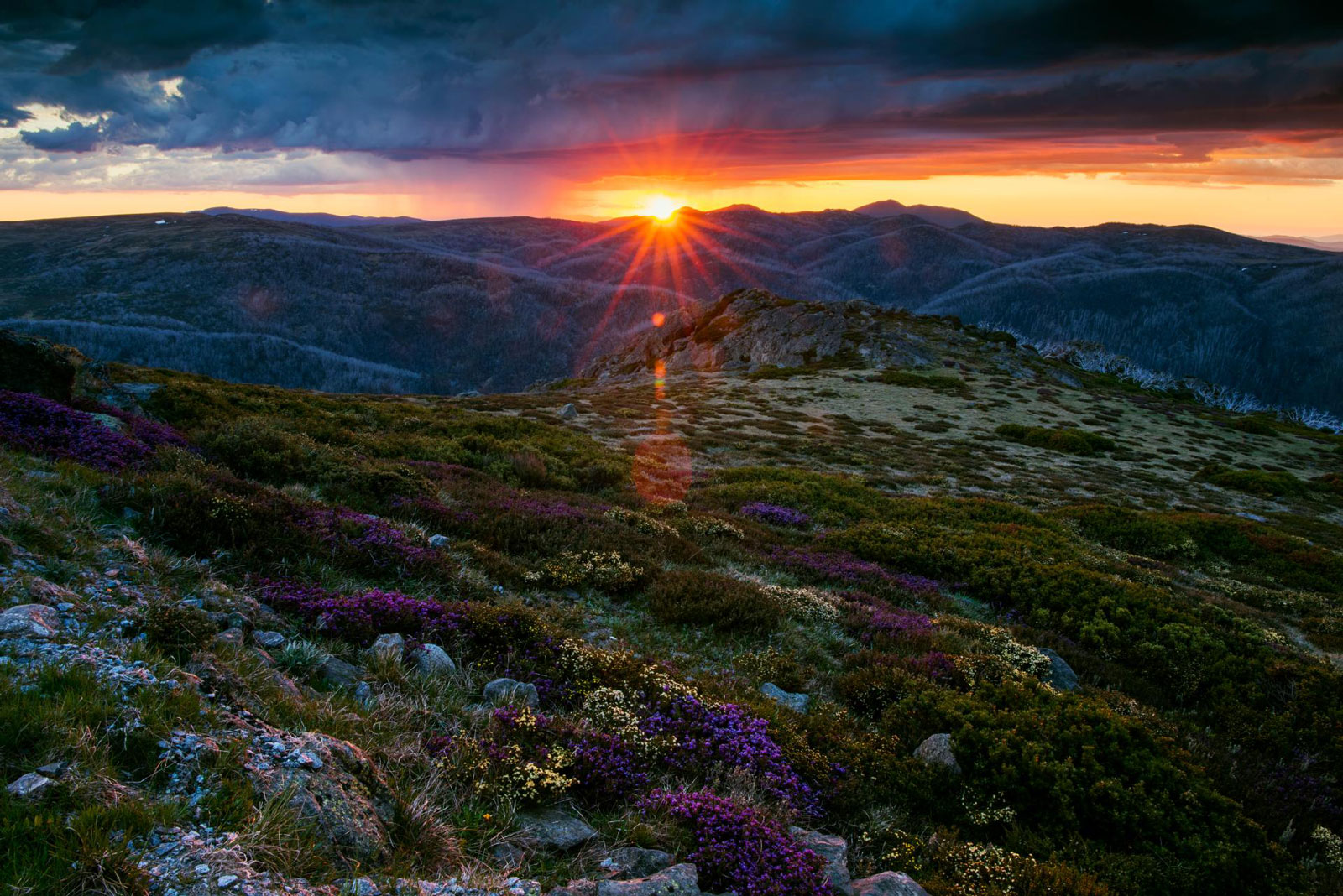 High Country holiday parks in Victoria