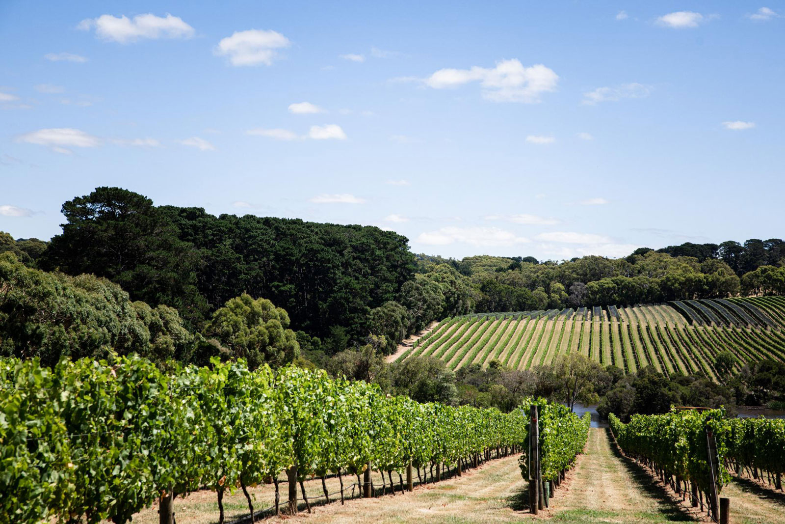 Mornington Peninsula holiday parks in Victoria