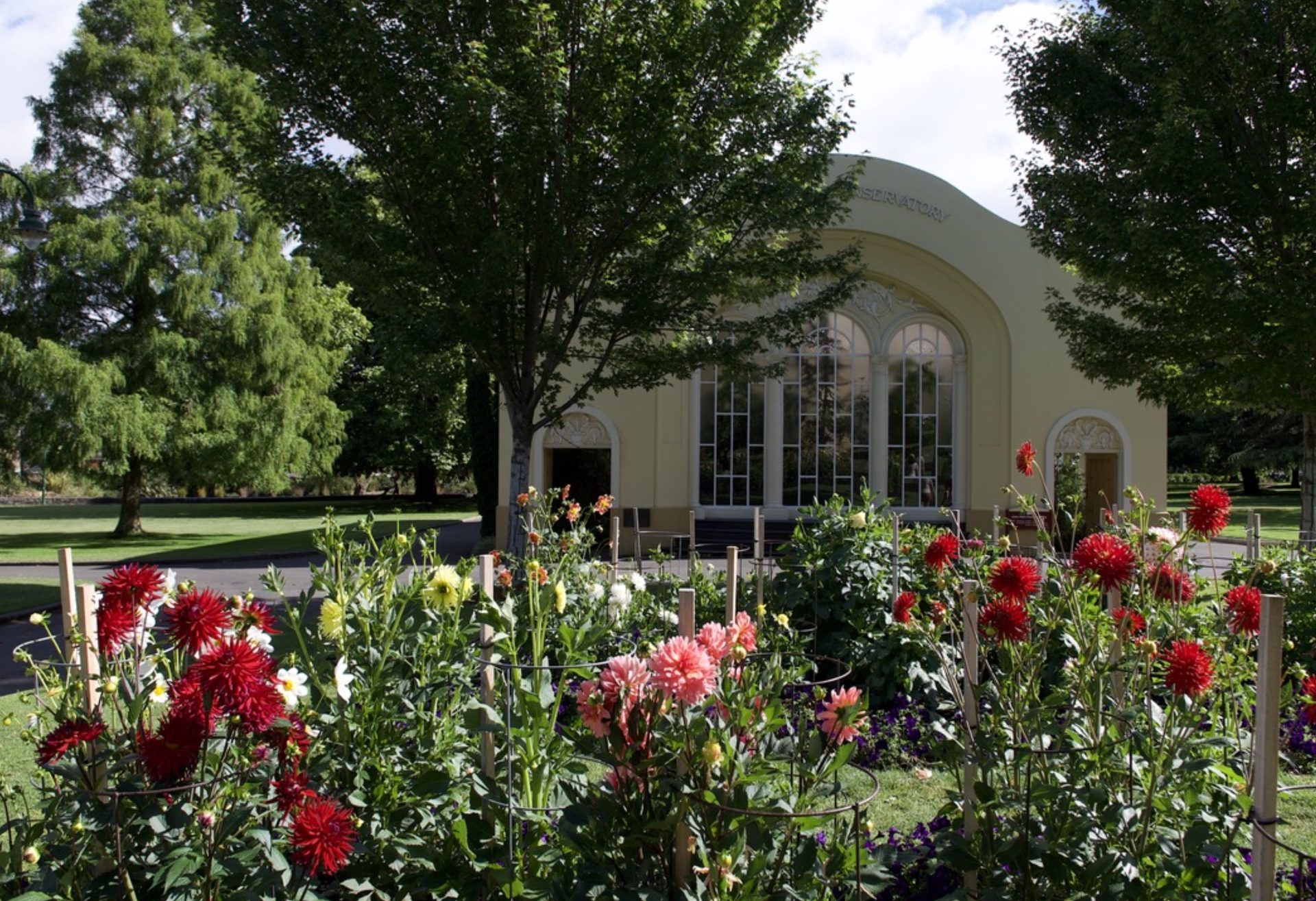 Dahlias in front of the City Park Conservatory in Launceston