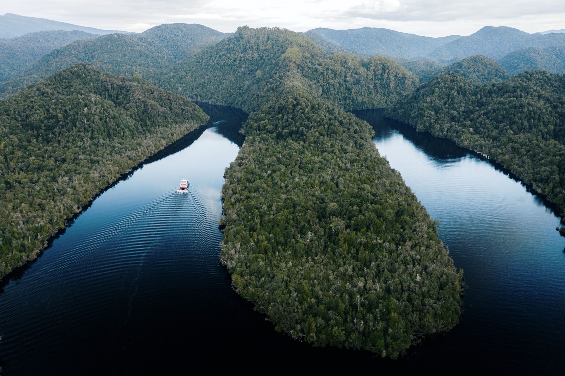 A white cruise boat on the dark Gordon River, with rainforest covering the banks