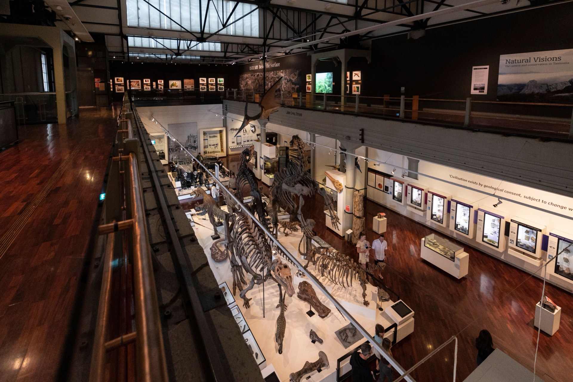 The natural science hall at Queen Victoria Museum and Art Gallery in Launceston, with skeletons displayed on the floor below