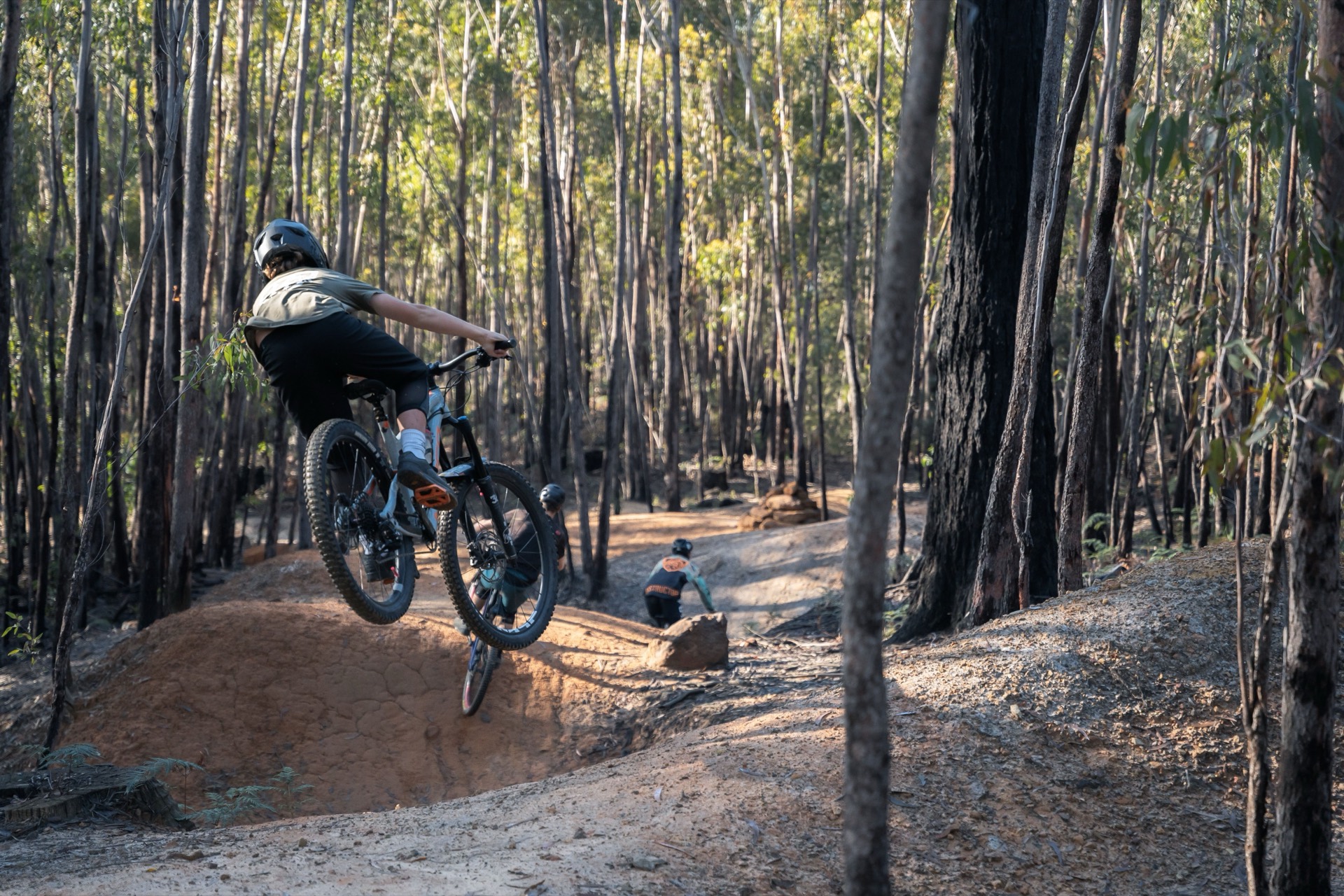 A rider launching a dirt jump on the St Helens mountain-bike trails