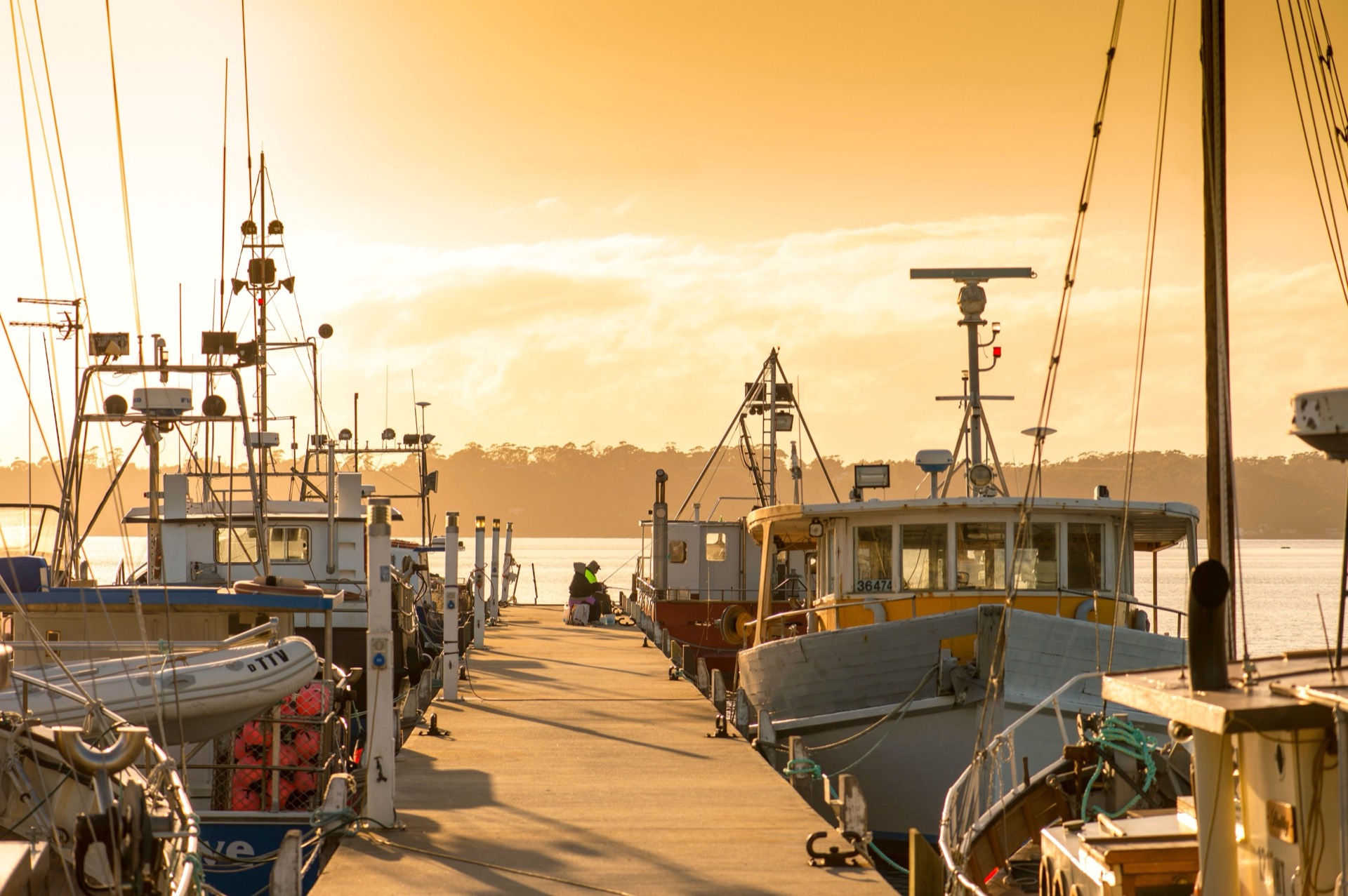 Sunrise light over Georges Bay near St Helens on Tasmania's east coast