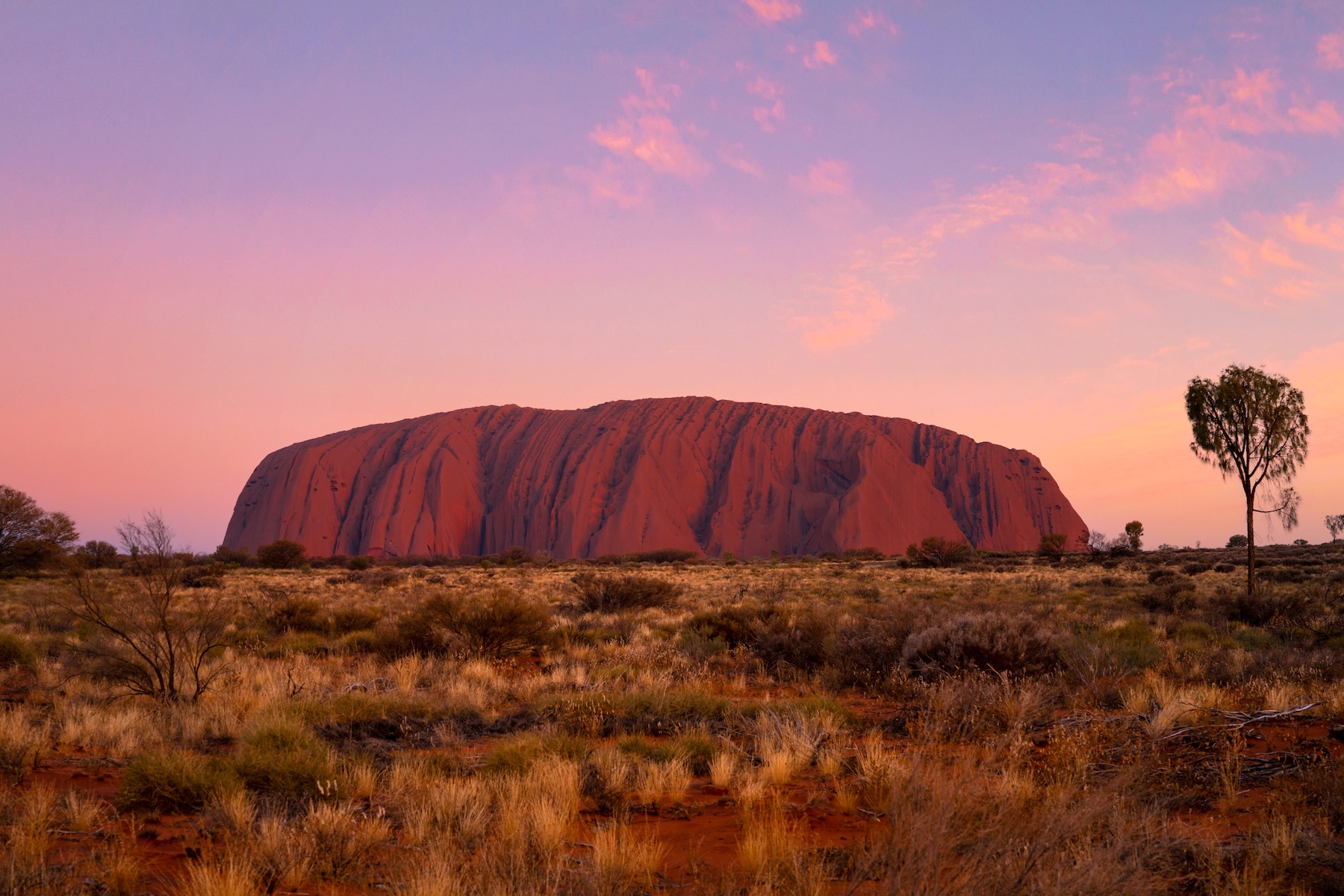 Darwin to Uluru: NT's Ultimate Outback Adventure