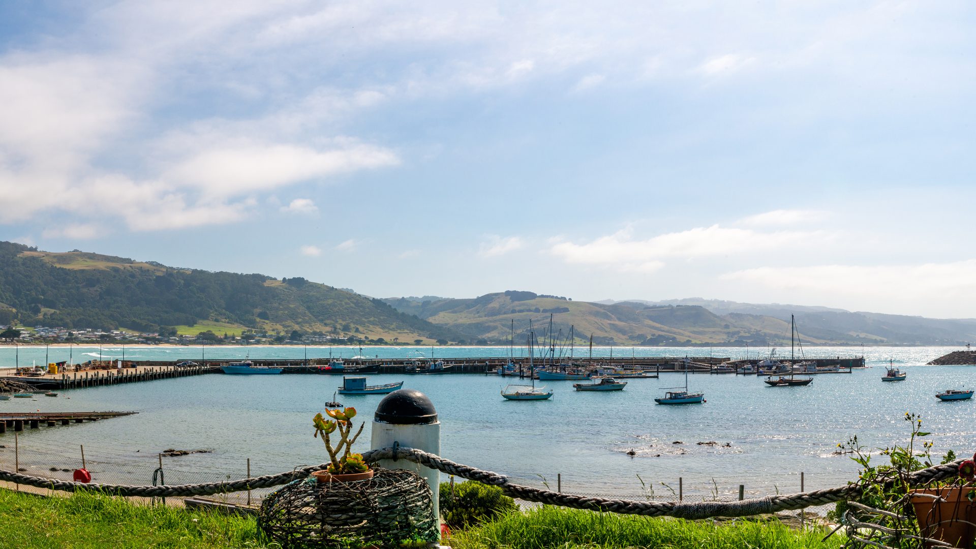 Wide view of Apollo Bay with the town, beach, and hills along the Great Ocean Road