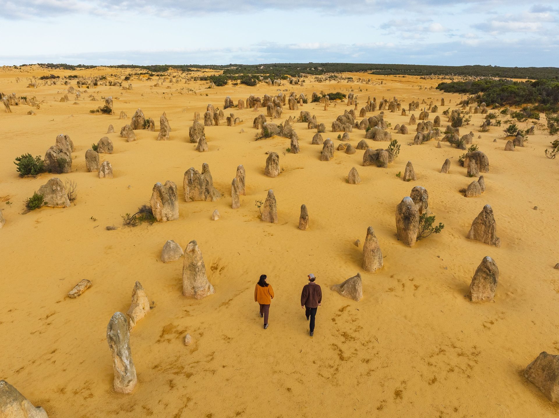 Limestone pinnacles and sandy scrub on the Desert View Walk Trail