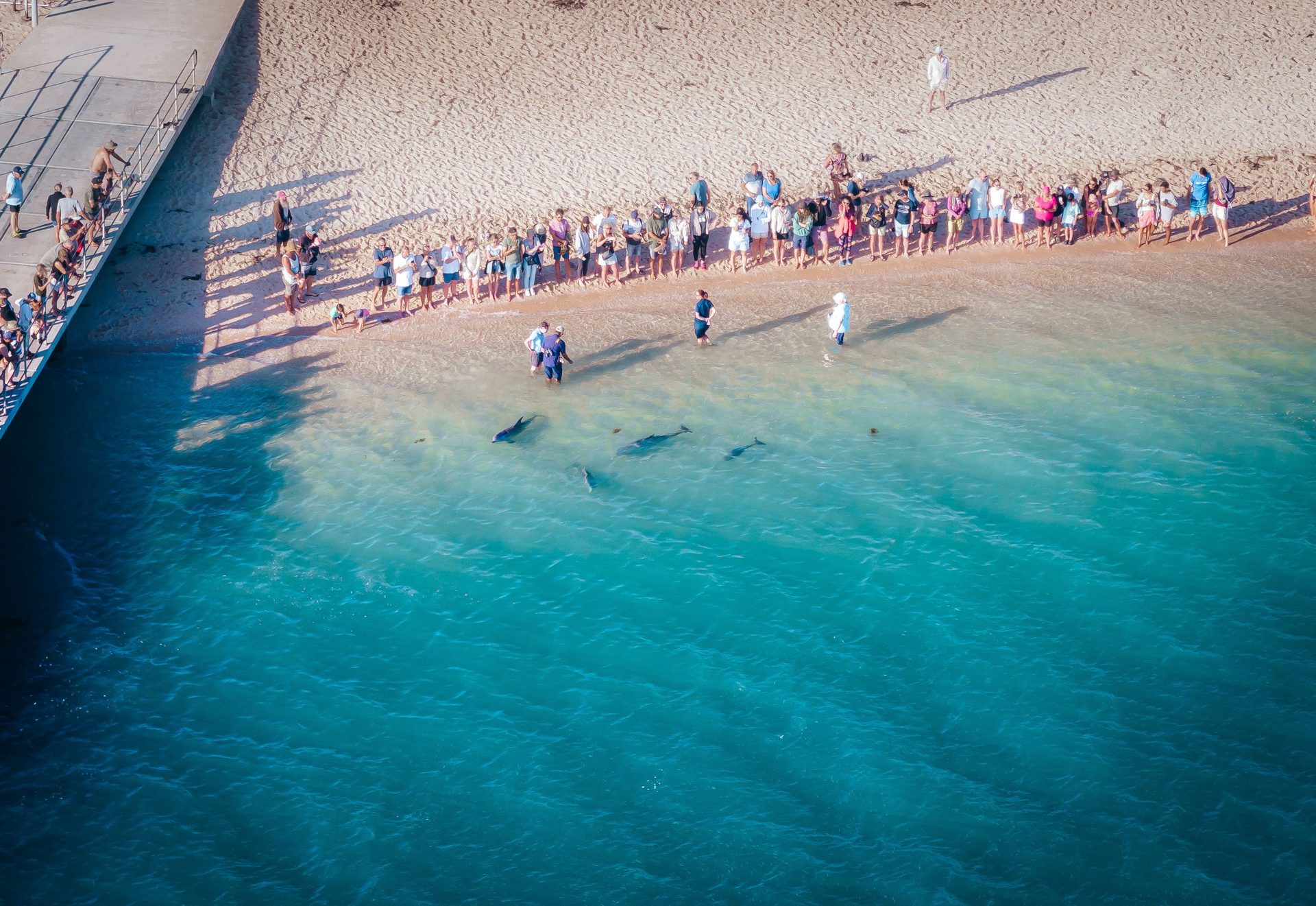 Beach and bay light at Monkey Mia in Shark Bay
