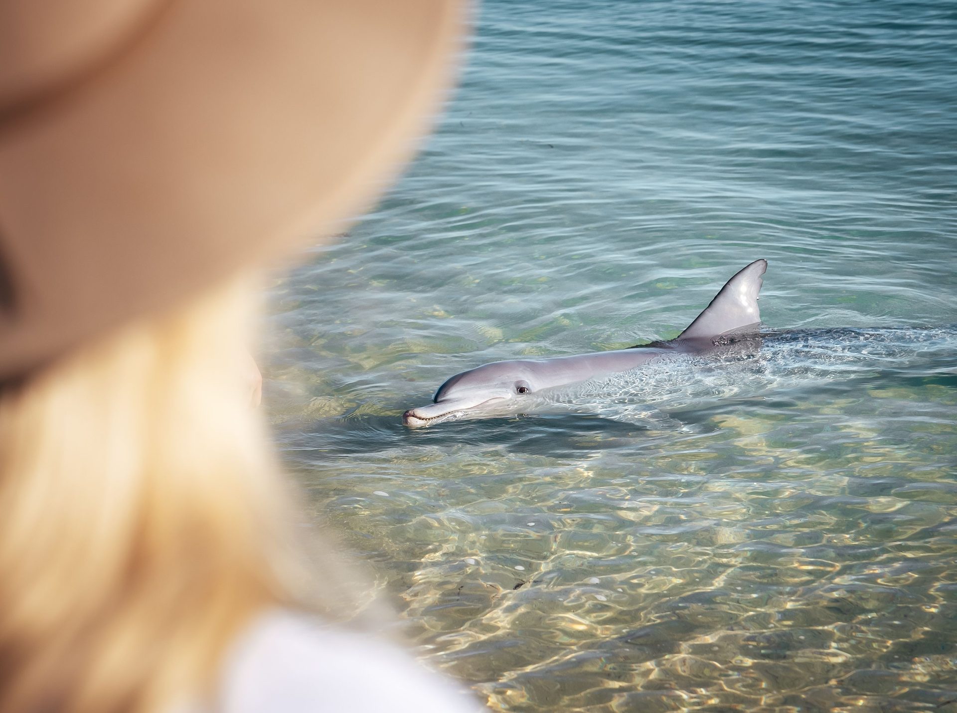 Shallow turquoise water and beach at Monkey Mia in Shark Bay